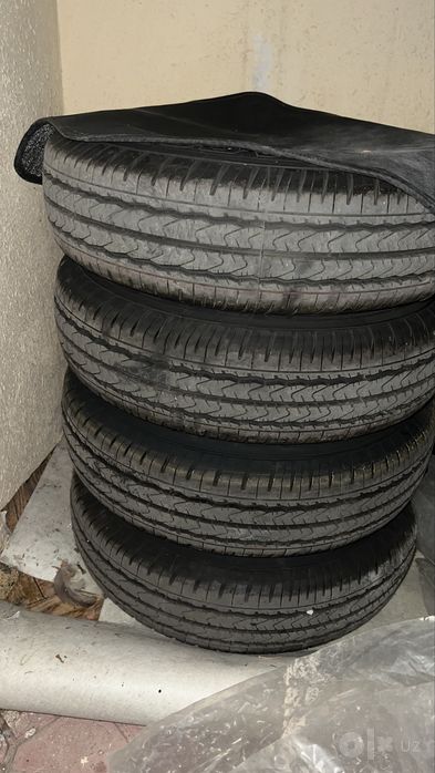 Labo damas diska bolan 12r