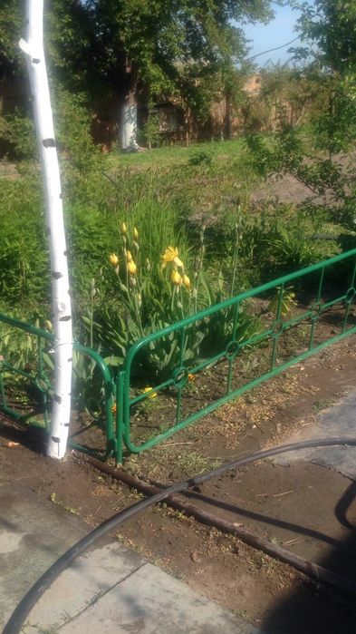 Продам дом в дачном массиве