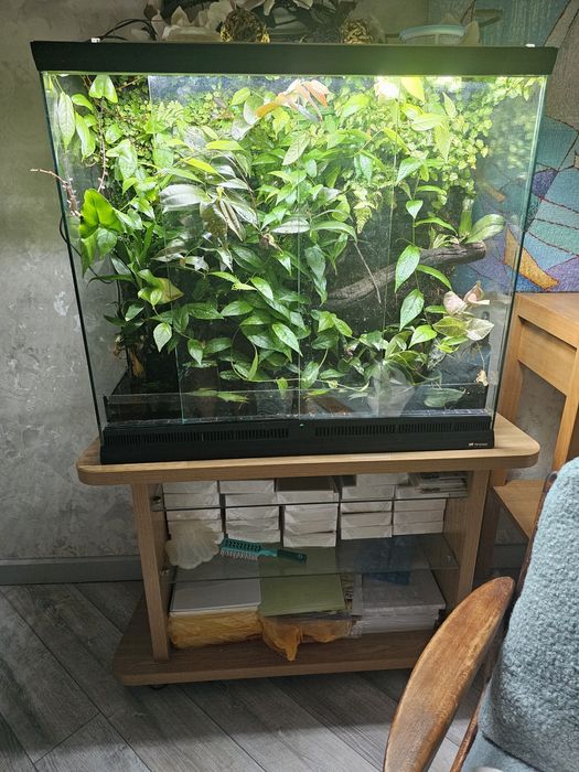 Паллюдариум, флорариум