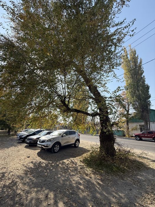 Дом с участок вдоль дороги