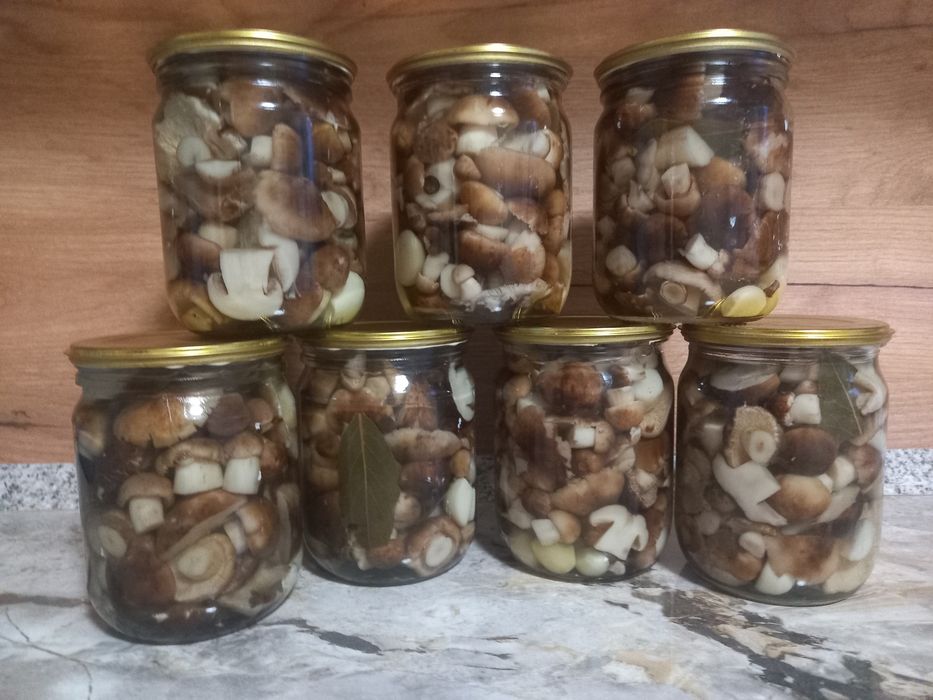 Продам маринованные грибы