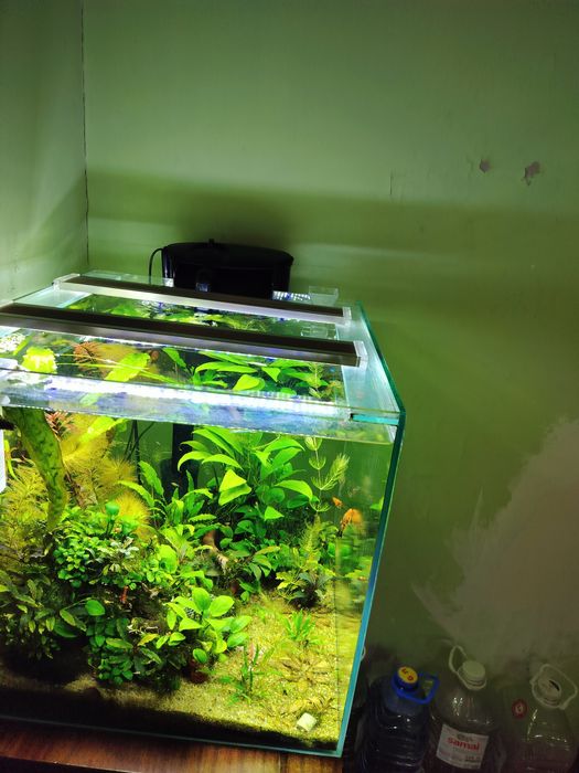 Продам аквариум травник.