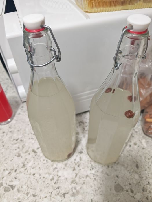 Granule de kefir/cristalele japoneze 200g