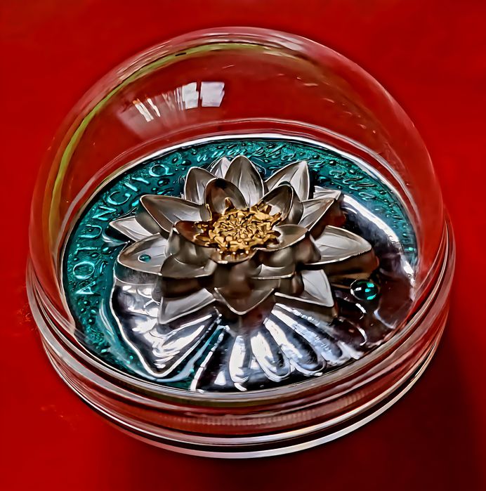 Кувшинка серебро