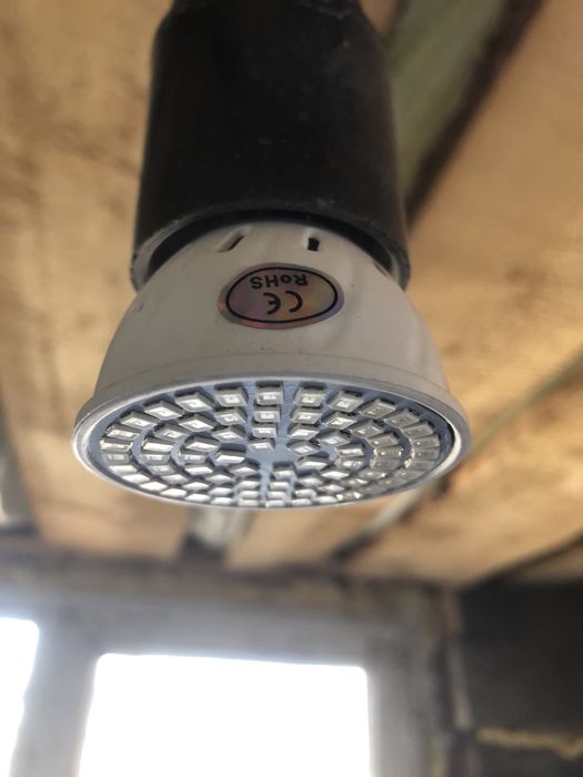 Лампочки для теплицы