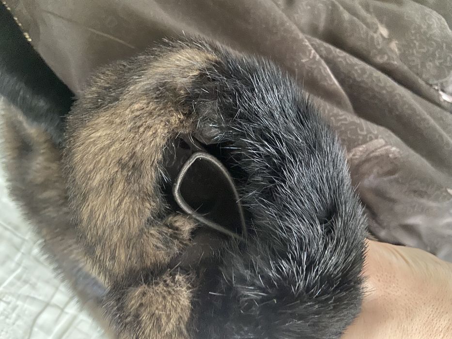 Норковая шуба