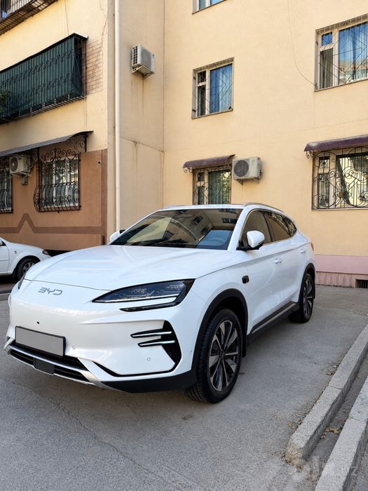 Byd Champion Smart