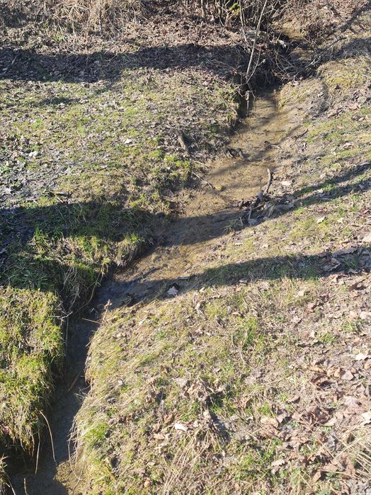 Teren ideal pt cabana , picnic sau casuta de vacanta la 8 km