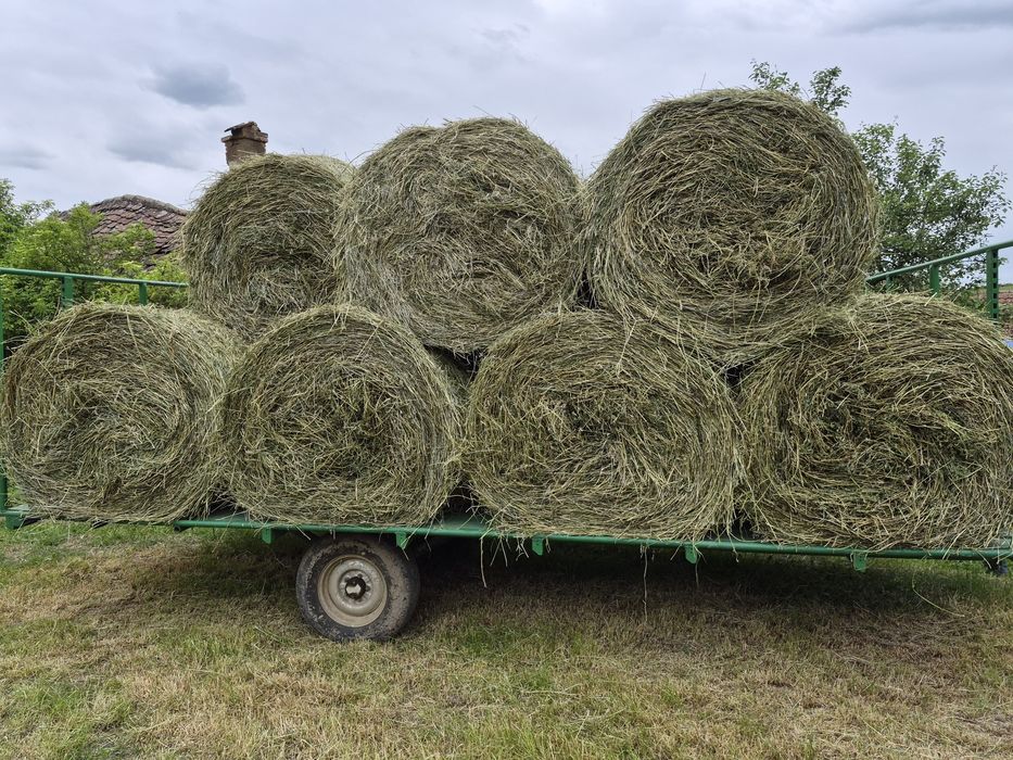 Baloti de lucerna cu certificat ECOLOGIC