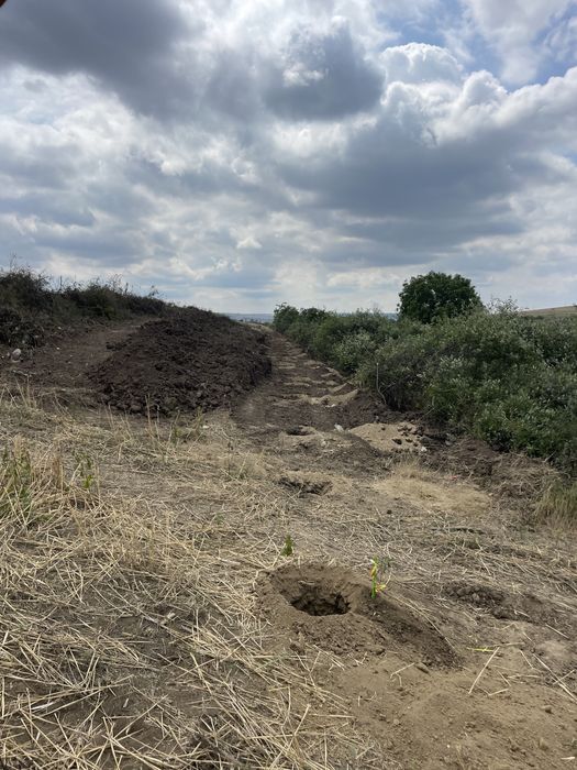 Gauri pomi/gard plantatii pomi