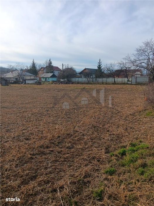 Teren 3500mp. Paun Bucium la asfalt cu toate utilitatile