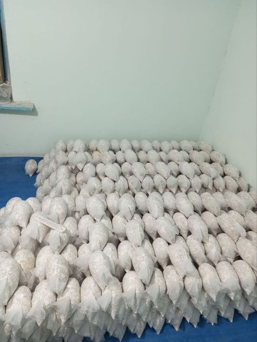 Готовые блоки Вешинки , Семена Грибов КА 17. Месистные.