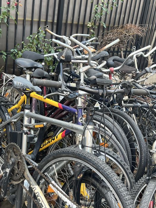 Biciclete SH Germania