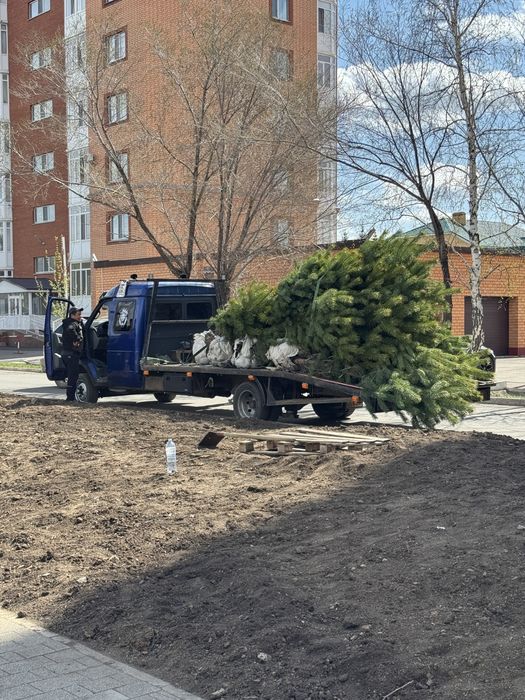 Услуги грузоперевозки эвакуатор мини эксковатор 3/1 газель