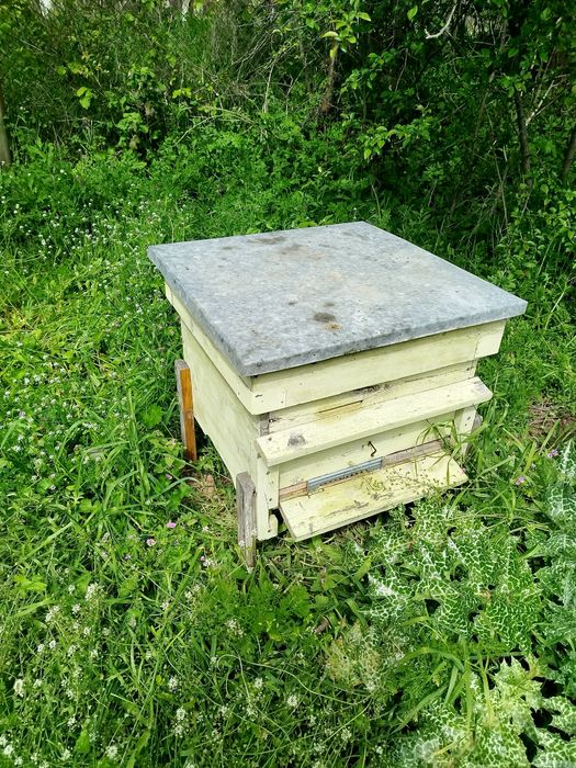 12 рамкови  Кошери с магазините .