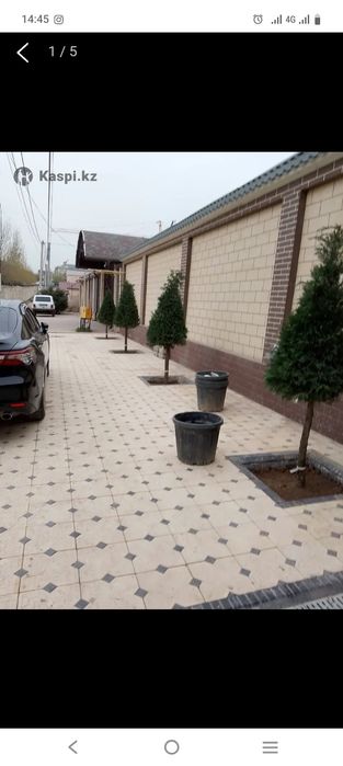 Шөп ору жер аудару тал егу