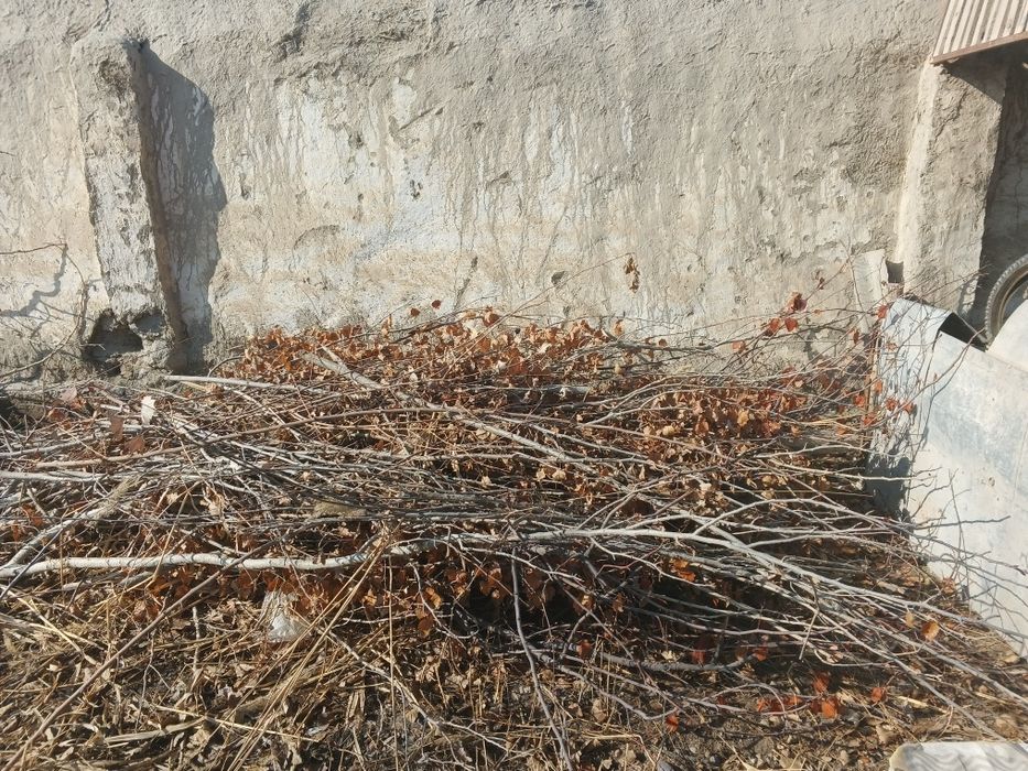 Продам утин дрова