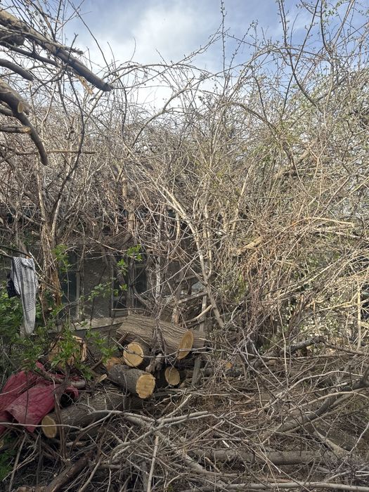 Дрова бесплатно