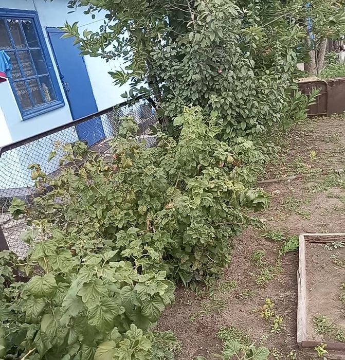 обмен частного дома на квартиру