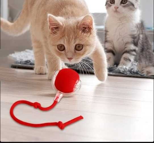 jucarie NOUA ! interactiva pisici /caței