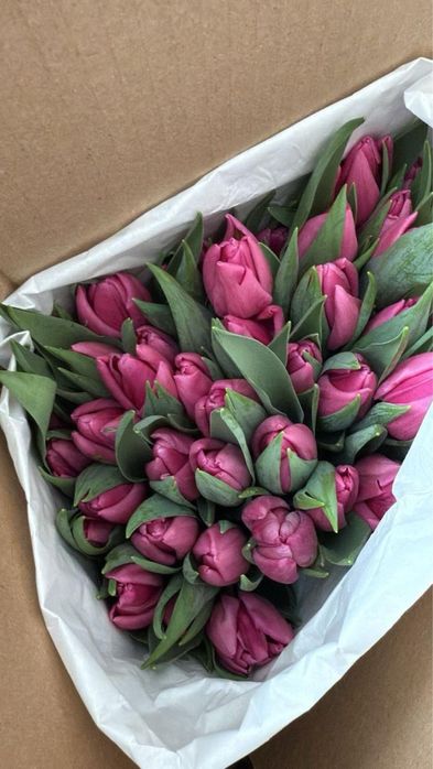 Тюльпаны свежие красивые и крупные Астана