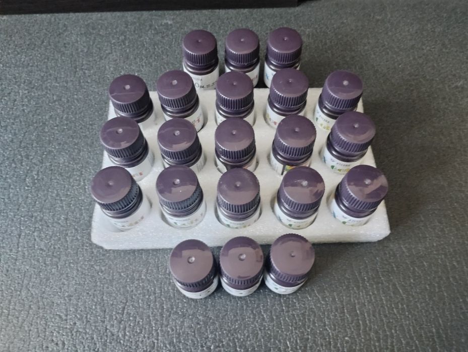 Colorant zirconiu XTCERA 30 ml