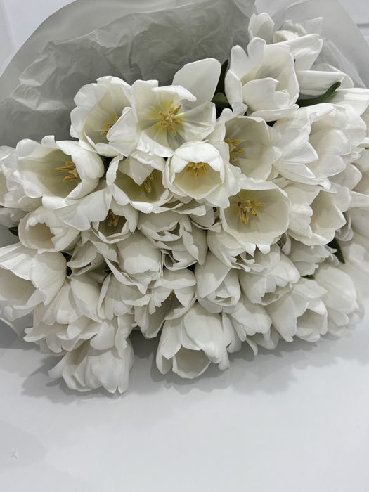 41 штук белых тюльпанов