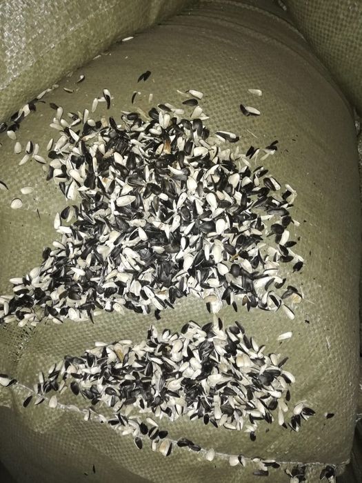 Шелуха от семечек в мешках