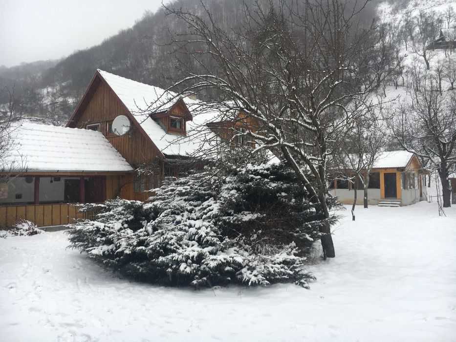 Ofer spre inchiriere cabana pentru revelion, Valea Lotrioarei, Sibiu