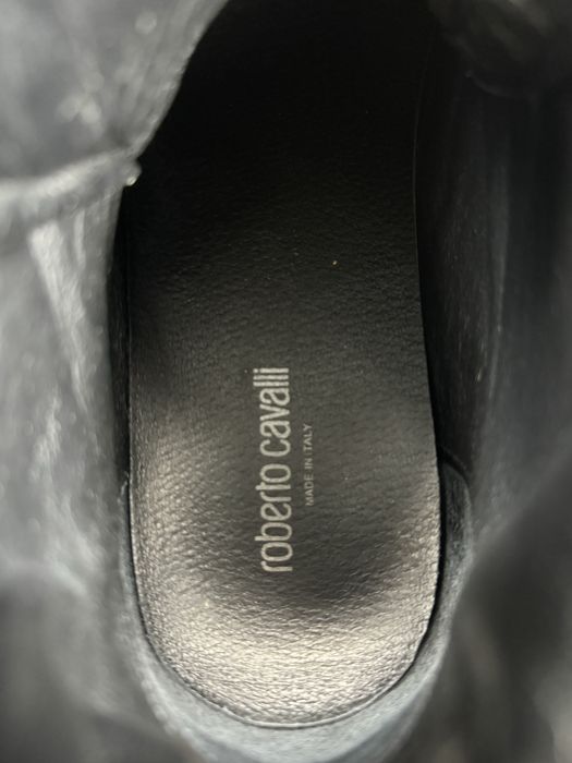 Кецове cavalliii