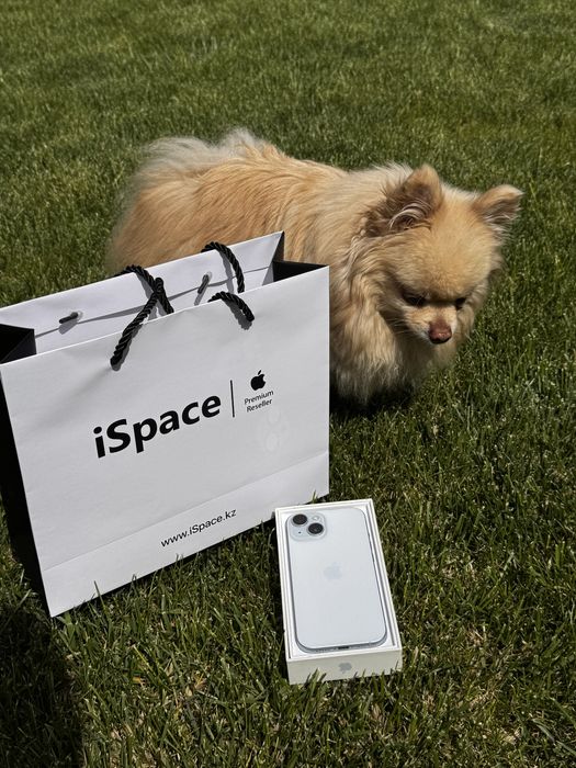 iPhone 15 (256gb)
