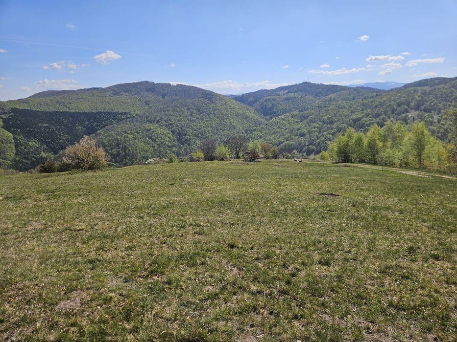 Terenuri de vanzare Damis