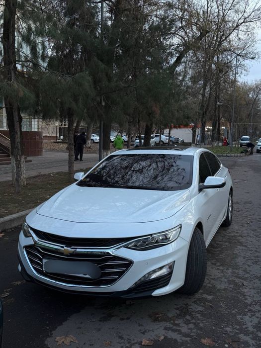 Malibu 2 Primer 2020 года