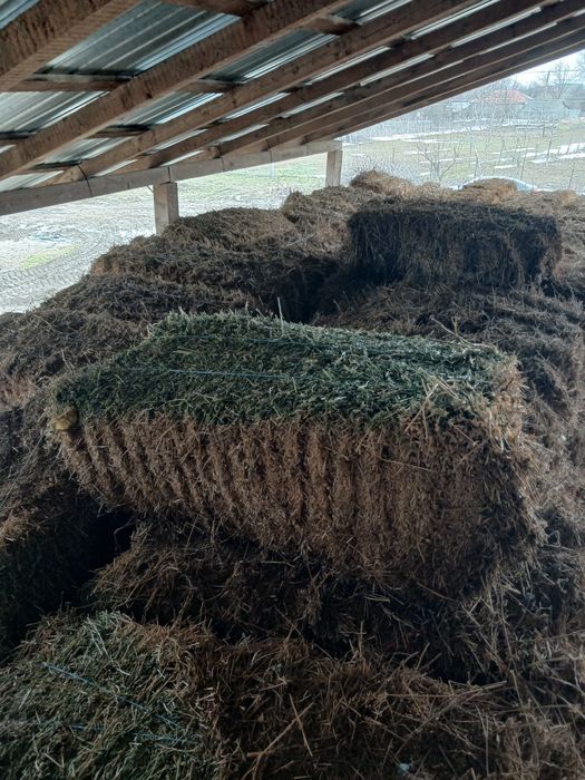 Vând ORZ  in comuna Gugesti