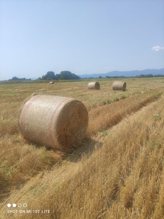 Продавам Ролонни бали ечимик,пшеница,сено и люцерна