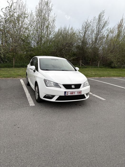 Seat ibiza 2013…