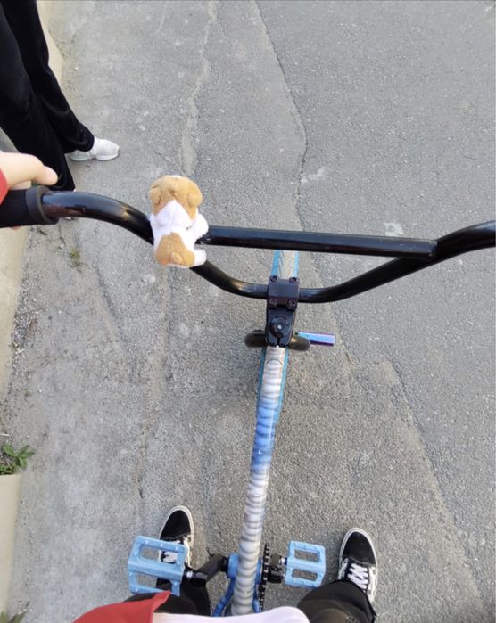 Vand bmx mafia bike