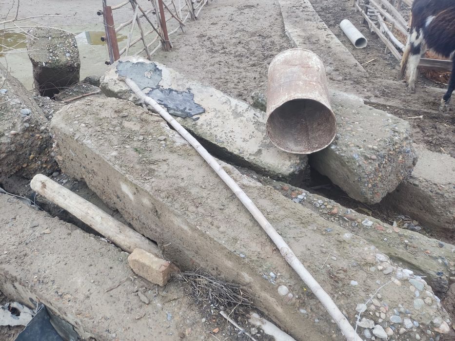 Бетон үйден шыққан