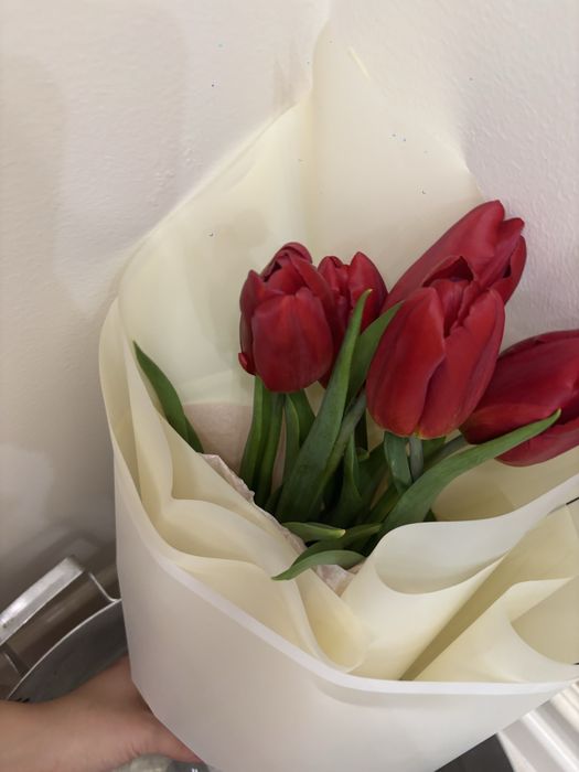 Тюльпаны 5 шт+1 в подарок