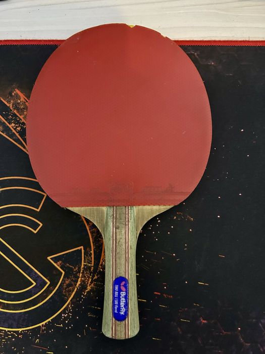 Palete de ping pong profesionale