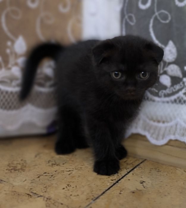 Милая и ласковая девочка