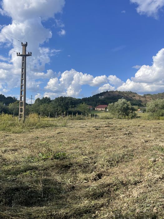 Teren de vanzare