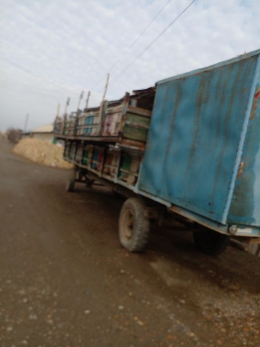 Повилон сотилади асал ари