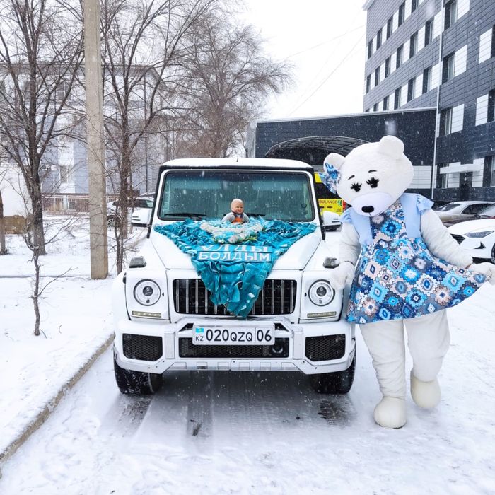 Мишка тедди на пркат