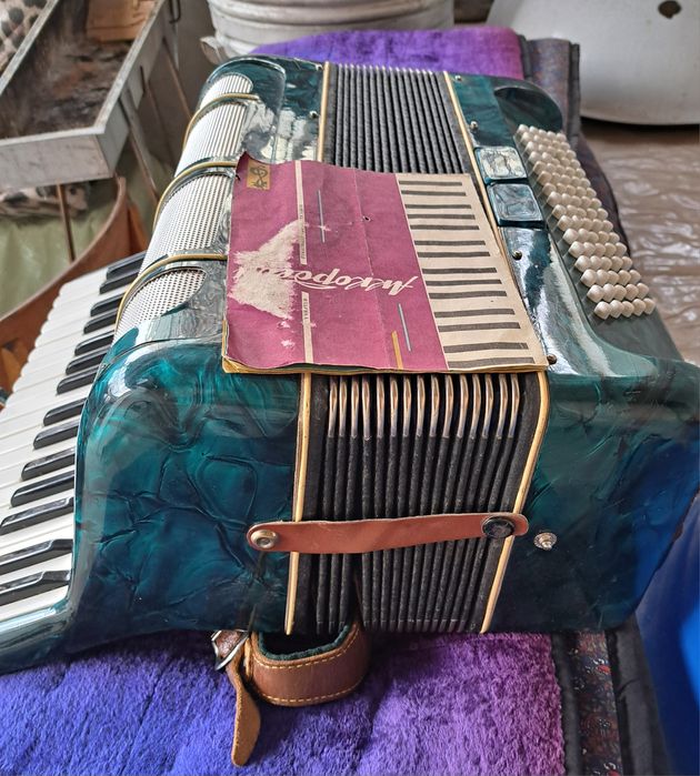 Аккордеон musical instrument