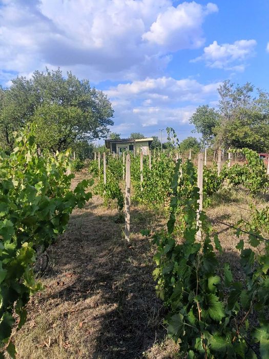 556-Продава се парцел с площ от 557 кв.м. в местността "Обзор"