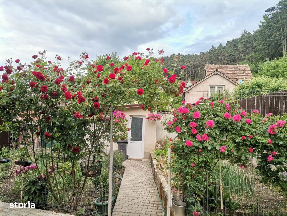 Casa P+M în zona Baciu din Sacele