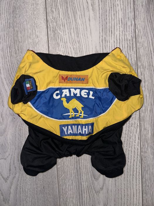 Одежда для Йоркширского терьера