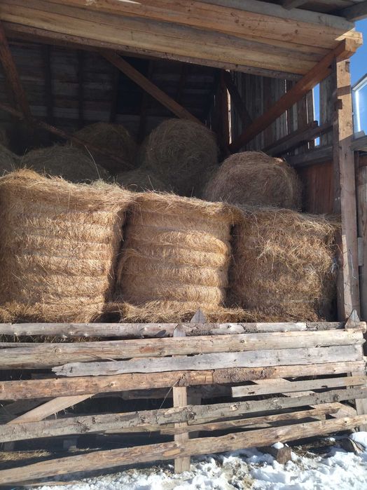 Baloți fân de grădină rotund 130x130