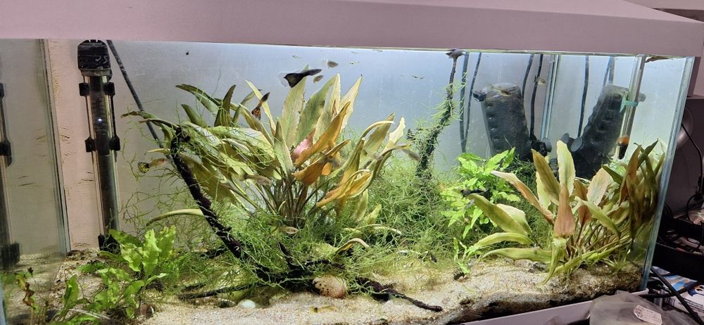 Aквариум Aquael Leddy Day&Night Plus 60